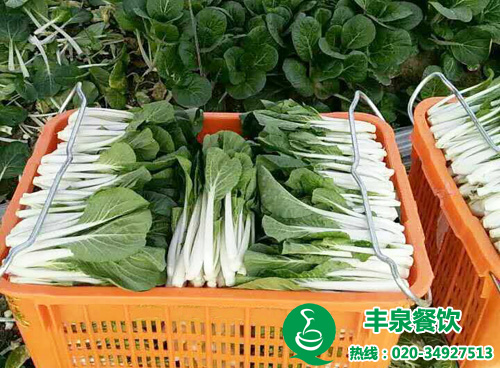 蔬菜配送解決食堂難題 企業學校食堂承包管理的好方法