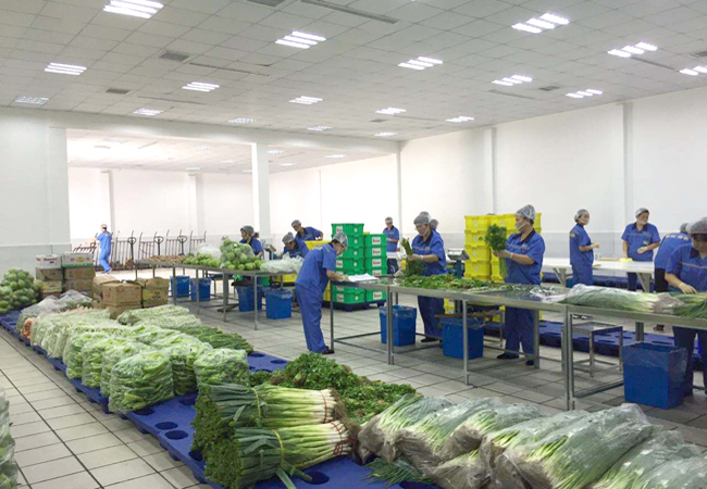 企業(yè)和工廠食堂有效降低員工飯?zhí)贸邪少彸杀?